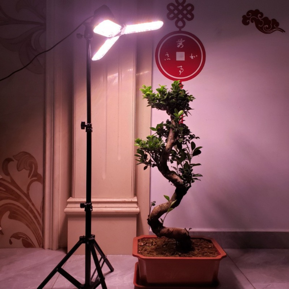 Light Bulb Stand 2M, E27 AC So - Photography Umbrella review and price