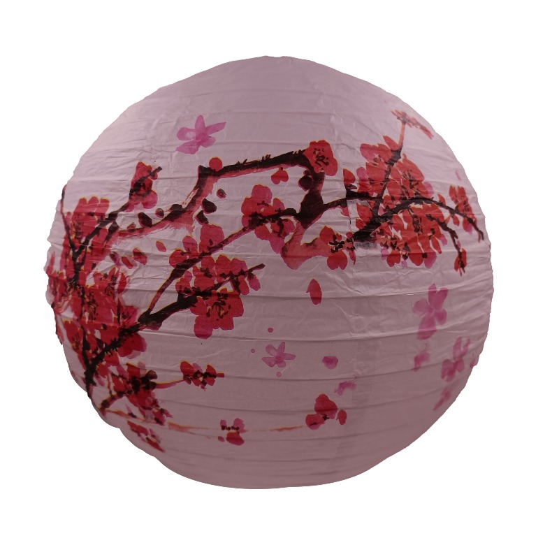 30cm Printed Paper Chinese Sty - Photography Of The Day review and price