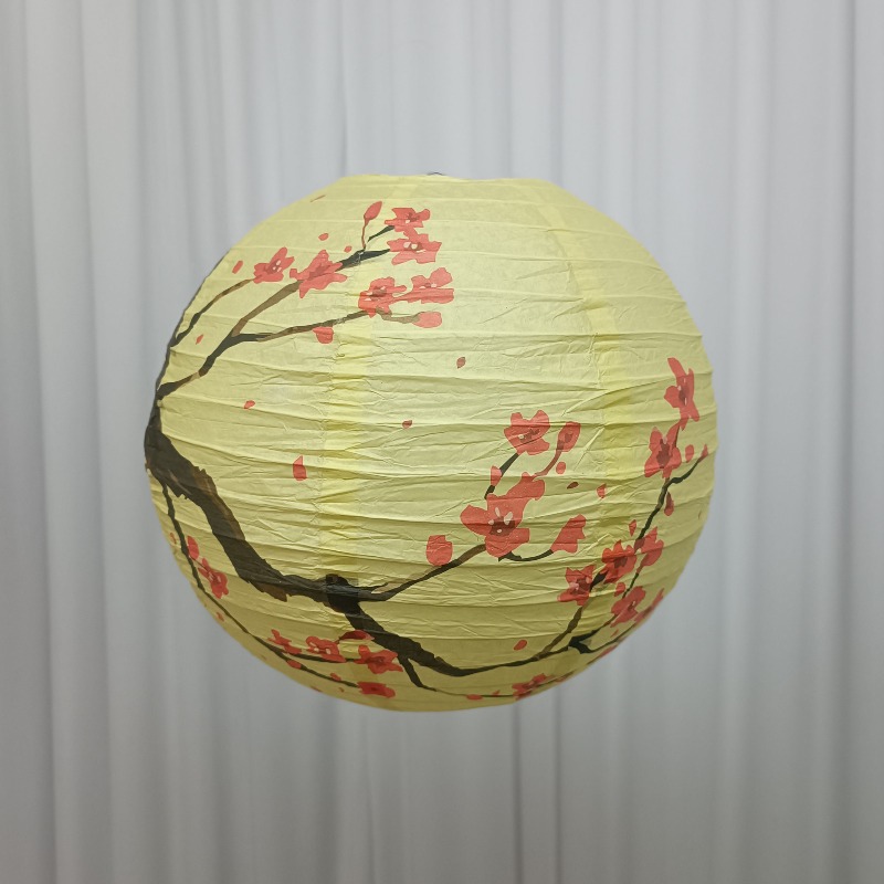 30cm Printed Paper Chinese Sty - Photography Of The Day review and price