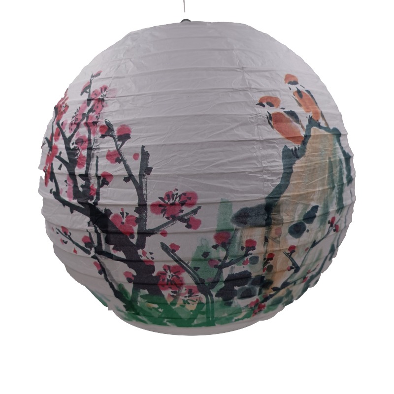 30cm Printed Paper Chinese Sty - Photography Of The Day review and price
