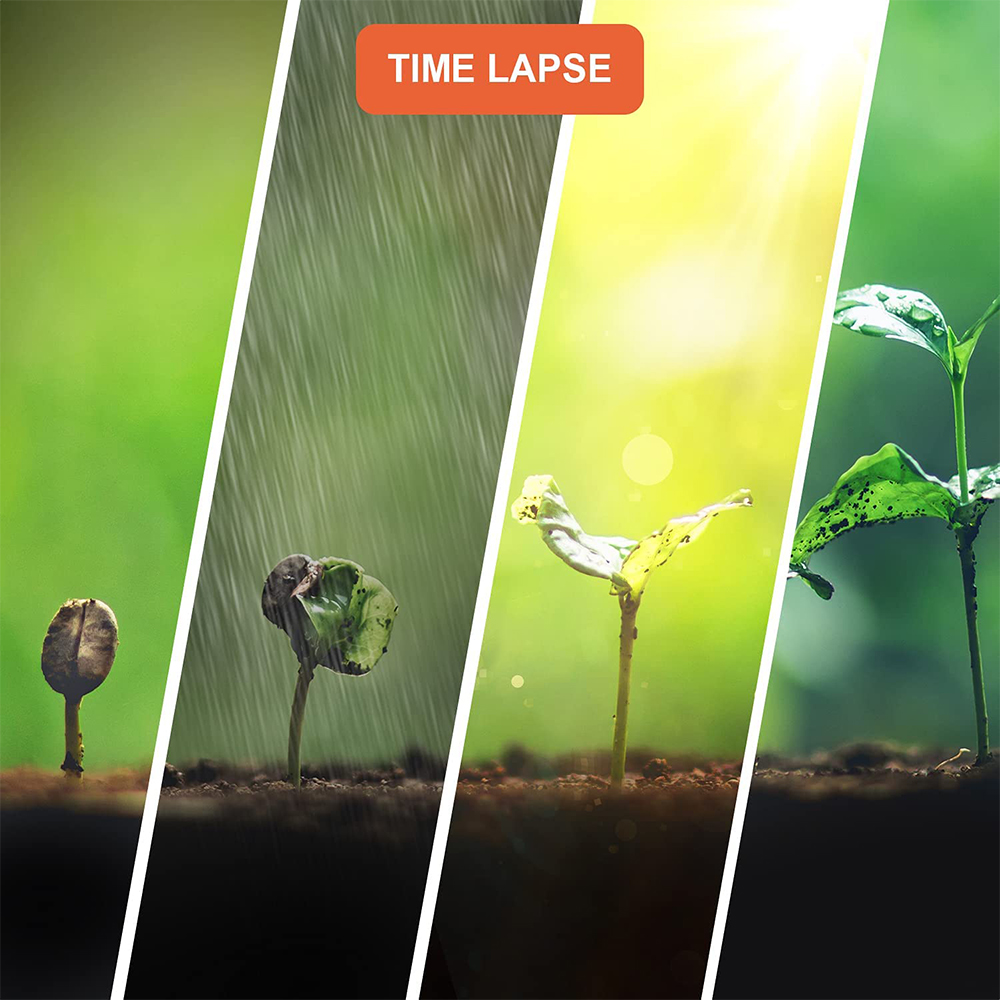 TL2300 Camera 2.4” LCD Time-La - Timelapse Controller review and price